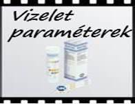 Vizelet