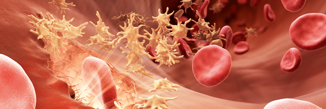 temp_bleeding_disorders